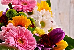 Спикер Думы города поздравил хантымансийцев с Днем знаний