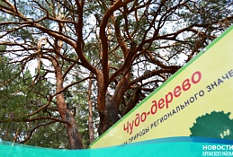 Фотоконкурс «Деревья – памятники живой природы» ждет участников