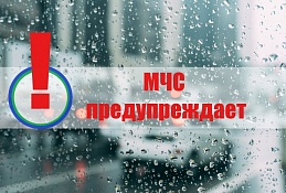 МЧС: в субботу ветер и дождь усилятся