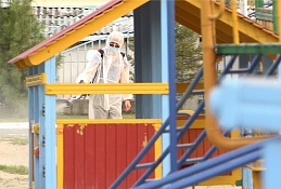 Второй этап борьбы с клещами начался в Ханты-Мансийске