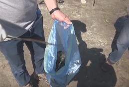 Всероссийская акция "Чистый берег"