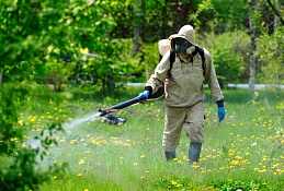 В окружной столице продолжается проведение противоклещевых обработок