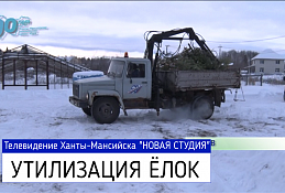 Утилизация ёлок