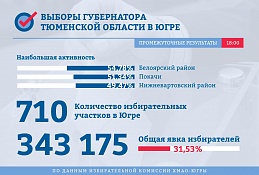 Выборы губернатора Тюменской области: промежуточные результаты явки на 18:00