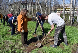 Более 3800 саженцев деревьев пополнили "Аллею выпускников"