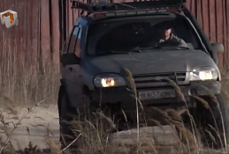 День автомобилиста 2019