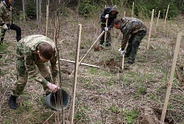 В окружной столице высадили дубовую рощу